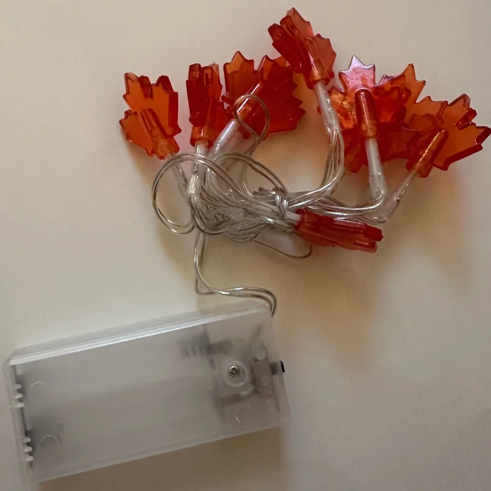 Autumn Leaf LED String Lights NWT